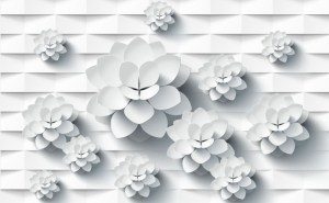 3D-00578